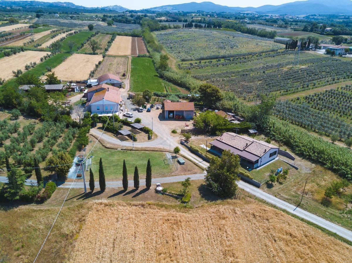 Ferri Séjour à la ferme